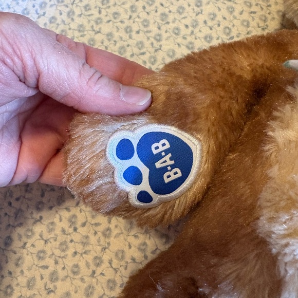 Peter Rabbit Build a Bear Plush - Picture 4 of 7